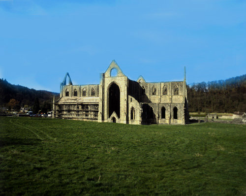Church of Tintern Abbey, 13th century, Chepstow, Monmouthshire, Wales, South aspect of ruined Cistercian Monastery, founded in twelfth century